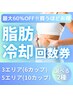 脂肪冷却痩身【5エリア＜10カップ＞】回数券