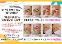 ケイナイン(K-NINE)