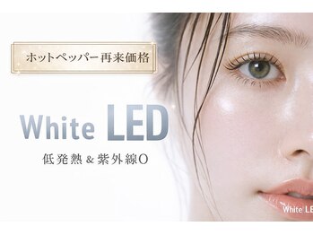 まつげエクステ専門店 エバーアイズ なんば店(EVER EYES)の写真/【紫外線ゼロのWHITE LED 5000円～】フラット3800円～つけ放題プラン・バインドロック・ダブルフラット有◎