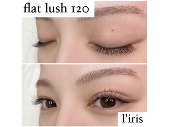 リリス(l’iris)/フラットラッシュ120本