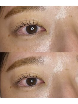 アイラッシュプラン リノ(eyelash plan RINO)/韓国風まつ毛パーマ