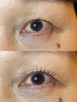 ダーム ド ローズ(Dame de rose)/【まぶたが上がるまつ毛パーマ】