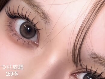 ラッシュ(LASH)/フラットラッシュ/つけ放題180本