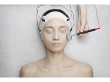 フルール エンビロン(フルール ENVIRON)/イオン導入＋ローラー