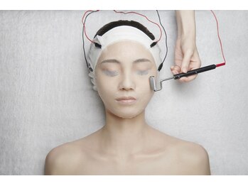 フルール エンビロン(フルール ENVIRON)/イオン導入＋ローラー