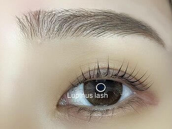 ルピナスラッシュ(Lupinus lash)の写真/第一印象は眉毛で変わる!アイブロウWAX・スタイリングで美眉に★眉毛にお悩みの方、プロにお任せください！