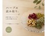 温活/妊活/代謝UP/デトックスに【自分の直感で選ぶハーブよもぎ蒸し】￥4100