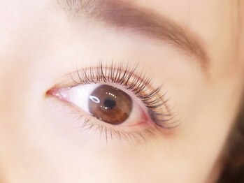 モストリーク(most like)の写真/初回はLEDエクステの変更無料◎毛質は自まつ毛に1番近いフラットラッシュを使用したハイクオリティマツエク