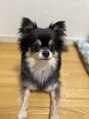ダブリューピラティス(W Pilates) 愛犬のグリアスくん♪