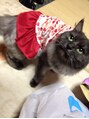 ビューティサロンミルク 保護猫です。17歳になり、かなーーーーーーりおっとりさんです。
