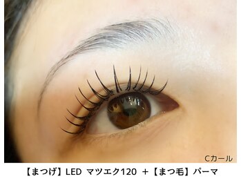 ヴィラアンドテラス(Villa×terrace)/LEDエクステ120本→まつげパーマ