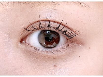 ベンティ(Venti)の写真