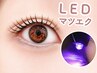 【LED】フラットラッシュ(オフ込)【120本】￥6,000