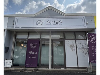 アジュガ(Ajuga)の写真