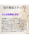 自爪育成　ステップ　４