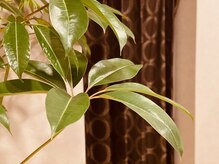 yusen高知店：お着替えが終わったら・・・