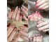 ナイスミーネイル(Nice Me Nail)の写真