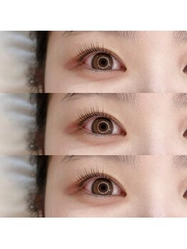 ウィロー(WILLOW)/パリジェンヌラッシュリフト