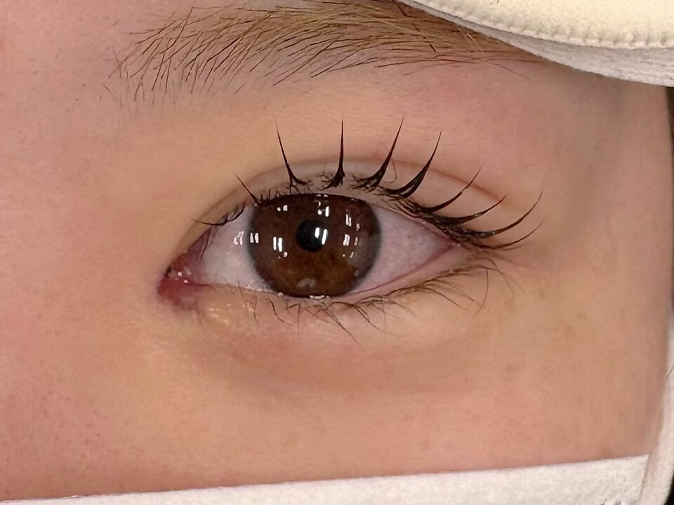ハリウッドブロウリフト ワクシー 下北沢店(HOLLYWOOD BROW LIFT