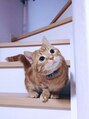 ふわり 花巻店&nbsp;我が家の愛猫☆