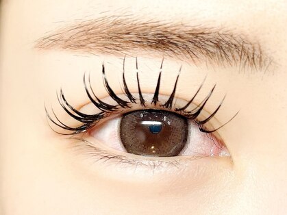 サクラ 心斎橋店(SAKURA)の写真