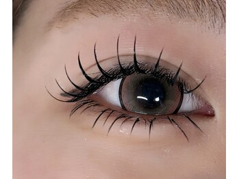 ルチア 高田馬場/フラットラッシュ120本　下20本