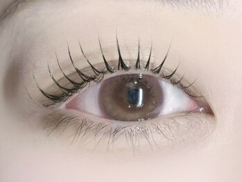 ミイプ(MEPP)/つねいし担当・ラッシュリフト