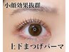 【小顔効果抜群】パリジェンヌラッシュリフト上下