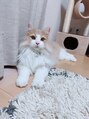 ERUFU EYELASH 愛猫！動物全般大好きなのでペットの話など聞かせてください☆