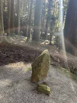 チェッコリ(CHECCOLY)/室生龍穴神社へ♪