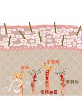 ベルメイク(BELLE MAKE)/【反応】反応step2 当日～2日