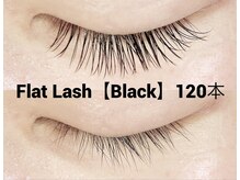ハーゼ(Hase)/Flat Lash 120本