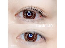 プルメリア バイ リリーズ ネイル(Plumeria By Lily's Nail)/ケラチンラッシュリフト ¥4000