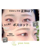 パインツリー(pine tree)/大人気なロットはこれ！