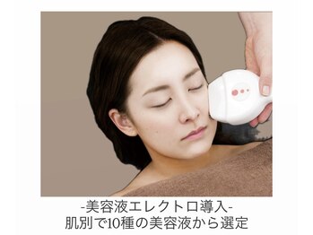 ステラ(Stella)/【エレクトロ導入】導入機