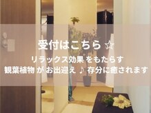 シーザナイト(Sea the Night)/受付はこちら♪【新宿/オイル】