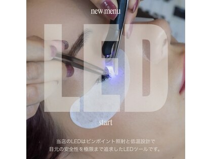 フルールシュア(fleur sr.)の写真