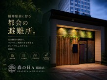 森の日々の雰囲気(街の喧騒を忘れて癒されるひととき)