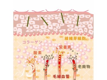 ベルメイク(BELLE MAKE)/【剥離】step3 3～４日目