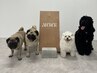 【愛犬同伴の方はこちら】初回プライベートマシンピラティス　5500円　90分