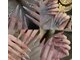 リオラネイル(Liora Nail)の写真
