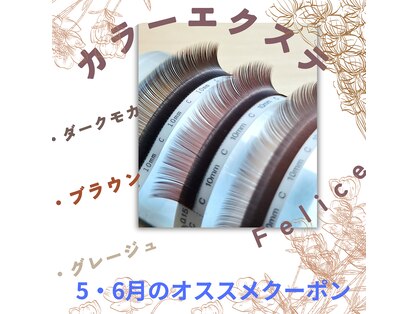 フェリーチェ(Felice)の写真