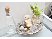 ガラパゴス/マスコットの亀さん