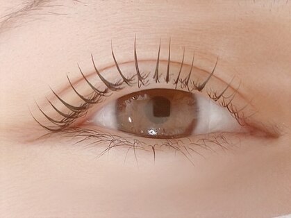 ベリーラッシュ(Berry lash)の写真