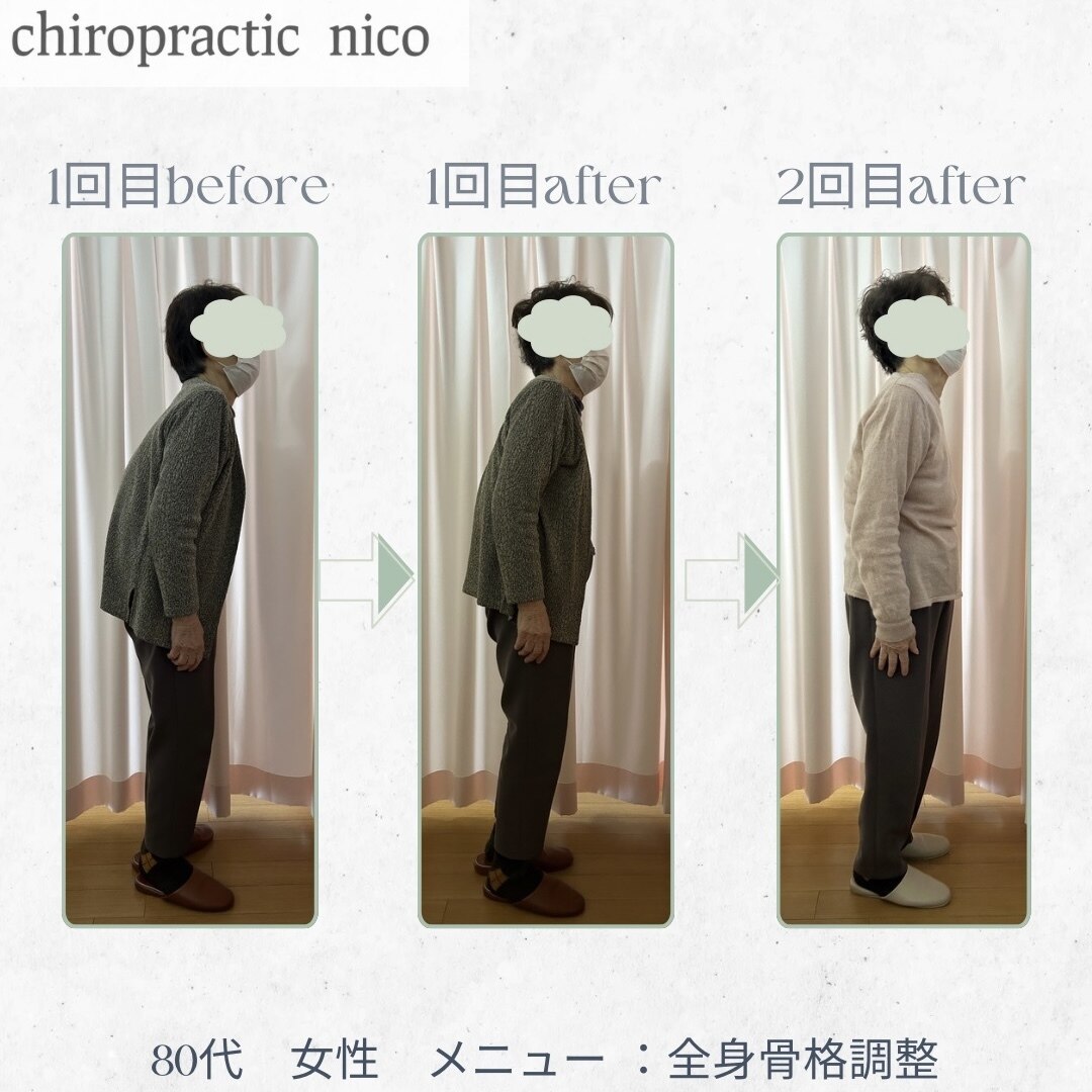 希少　カイロプラクティック　頭蓋骨テクニック　マニュアル 51H8NE31RHL._UF350,350_QL50_.jpg