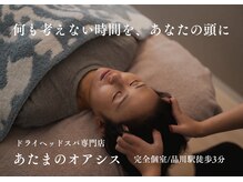 あたまのオアシス