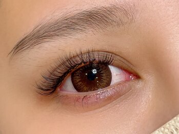 シル シェノン(cil shenon)/ボリュームラッシュ400本