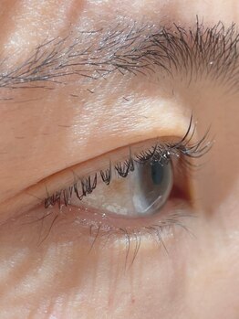 リコ(Lico)/まつ毛パーマ