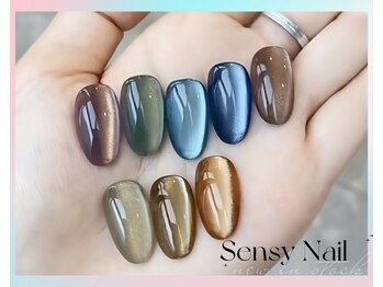 センシー ネイル スタジオ(Sensy Nail Studio)/マグネット色豊富に取り扱い