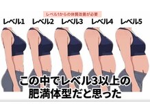 アレビュー(Arebeau)の雰囲気（生活習慣改善&痩せ過ぎ/肥満/痩身/むくみ/全身サイズダウン）